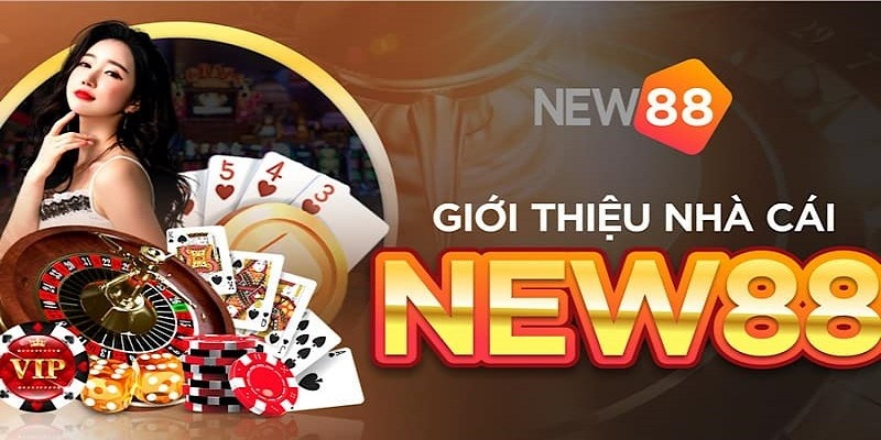 Thông tin tổng quát về NEW88