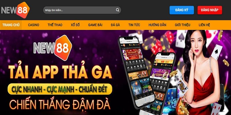 Hệ thống giải trí được nhiều tổ chức công nhận