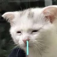 LeThiLinh