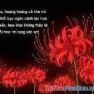 đức hiếu