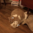 Tendou